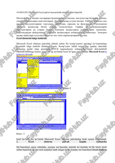 microsoft excel jadval muxarririda amaliy ishlar bajarish — DOCX