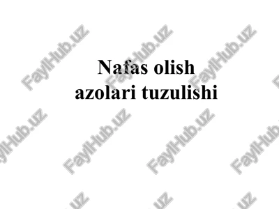 nafas olish azolari — PPT