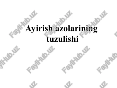 buyrak tuzilishi — PPT