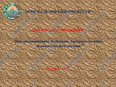 qon aylanishining buzilishi — PPT