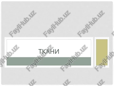 tkani — PPTX