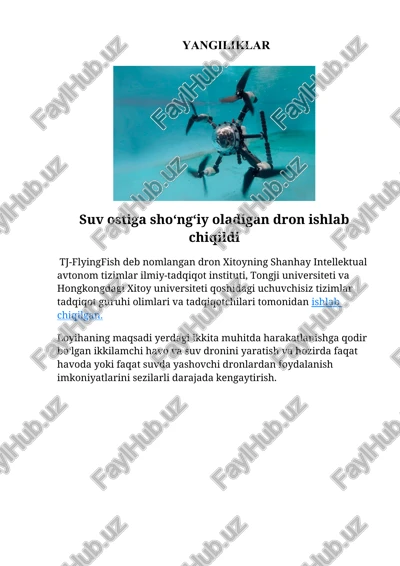 chiyizqli dasturlash (chd) — DOCX