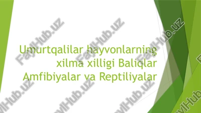 umurtqalilar hayvonlarning — PDF