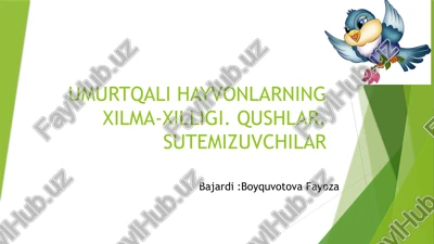 umurtqali hayvonlarning xilma-xilligi. qushlar, sutemizuvchilar — PPTX