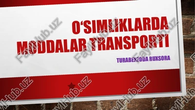 o‘simliklarda moddalar transporti — PPTX