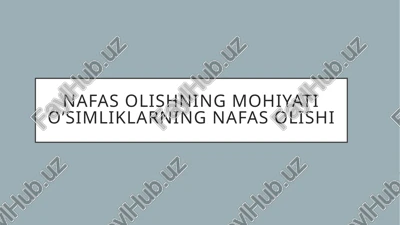 nafasolishning mohiyati — PPTX