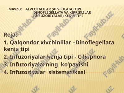 alveolalilar(alveolata)tipi.dinoflegellatava kipriklilar(infuzoriyalar)kenja tipi — PPTX