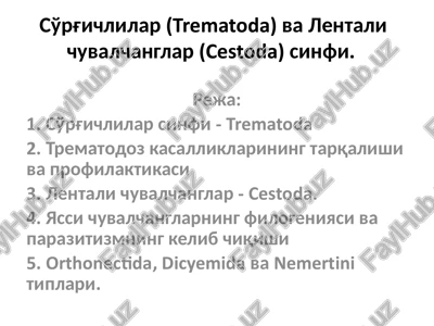 so’rg’ichlilar va lenta bilan bog’liq kasalliklar — PPTX