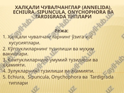 xalqali chuvalchanglar (annelida), echiura, sipuncula, onychophora va tardigrada tiplari — PPTX