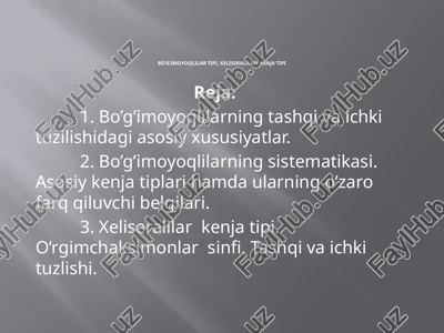 bo’g’imoyoqlilartipi.xeliseralilarkenjatipi — PPTX