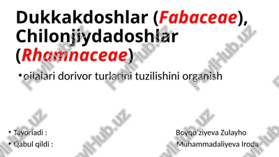dorivor qashqarbeda (melilotus officinalis (l.) pall.) — PPTX