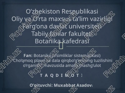 cho’qmoq plauni va da laqirq bo’g’imining tuzilishi — PPTX