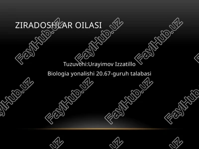 ziradoshlar oilasi — PPTX