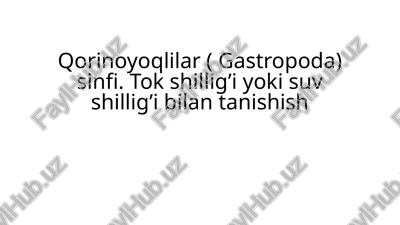 qorinoyoqlilar (gastropoda) sinfi — PPTX
