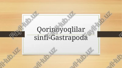 qorinoyoqlilar sinfi-gastrapoda — PPTX