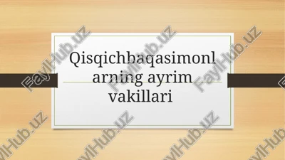 jabraoyoqli qisqihbaqasimonlar — PPTX