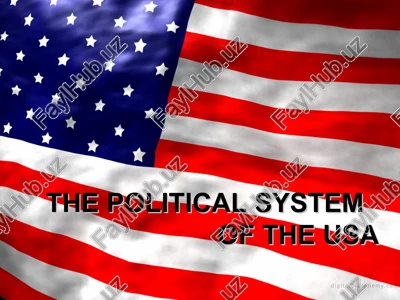 the political system of the usa — PPT
