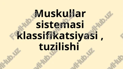 muskullar sistemasi klassifikatsiyasi — PPTX