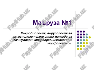 ma'ruza №1 — PPT