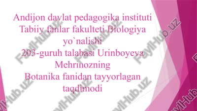 suvqirqqulog'i — PPTX