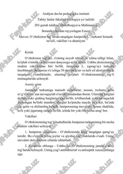 juniperus l. turkumi botanikasi — DOCX