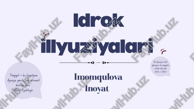 idrok illyuziyalari — PPTX