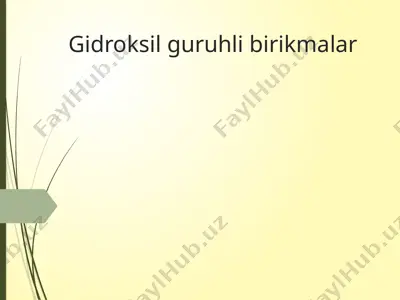 gidroksil guruhli birikmalar — PPTX