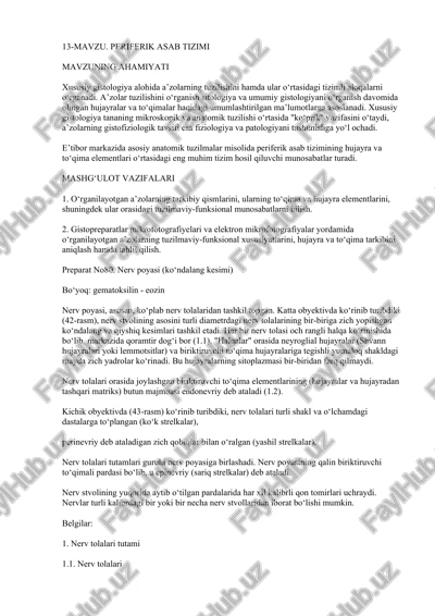 periferik asab tizimi — DOCX