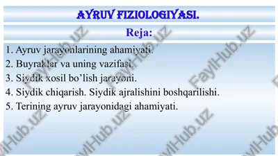 ayruvfiziologiyasi — PPTX