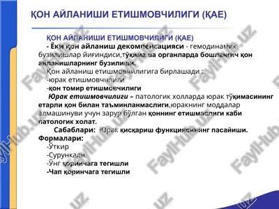 qon aylanishi etishmovchiligi (qae) — PPT