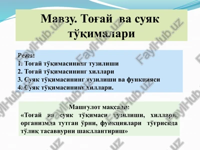 tog'ay vasuyakto'qimalari — PPTX