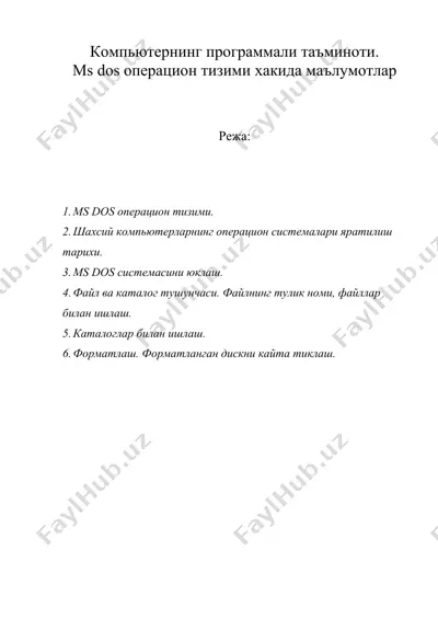 компьютернинг программали таъминоти — DOC