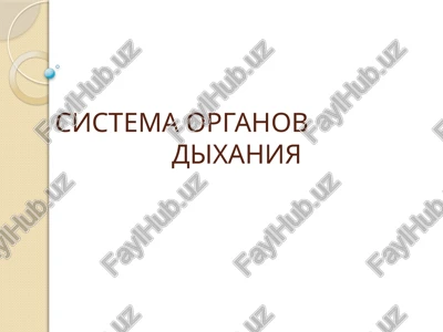sistema organov dixaniya — PPTX