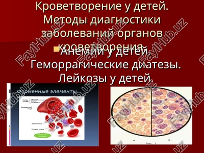 krovetvorenie u detey — PPT