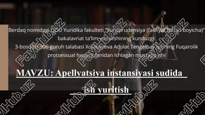 apellyatsiyainstansiyasisudidaishyuritish — PPTX