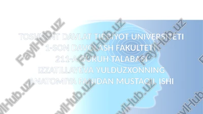 periferik nerv tizimi funksional anatomiyasi — PPTX