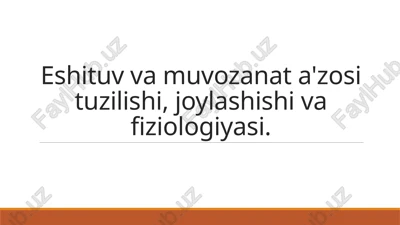 eshituv va muvozanat anatomiyasi — PPTX