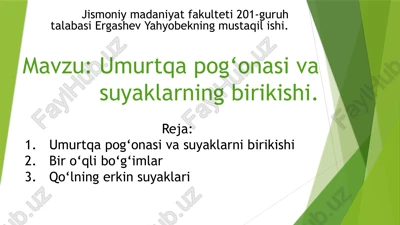 umurtqa pog‘onasi va suyaklarning birikishi — PPTX