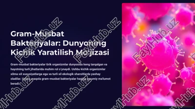 gram-musbat bakteriyalar: dunyoning kichik yaratilish mo‘jizasi — PPTX