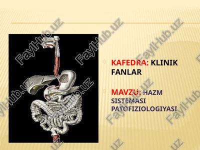 hazm sistemasi patofiziologiyasi — PPTX
