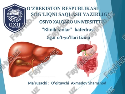 jigar o’t-yo’llari tizimi — PPT