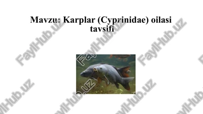 karplar(cyprinidae) oilasining tavsifi — PPTX