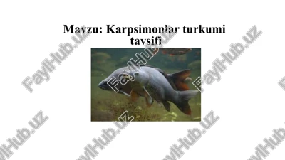 karpsimonlar turkumitavsifi — PPTX