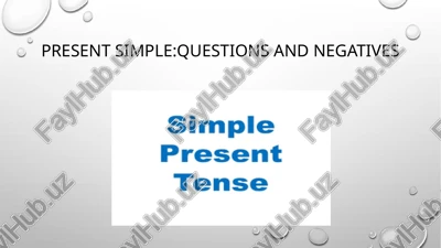 present simple: questions and negatives — PPTX
