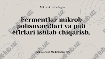 mikro bio tehnologiya — PPTX