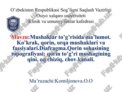 mushaklar to'g'risida ma'lumot — PPTX