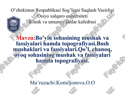 bo’yinsohasining mushak va fassiyalari hamda topografiyasi — PPTX