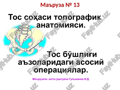 tossohasitopografikanatomiyasi — PPTX