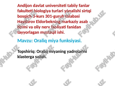 oraliq miyaning yadro funksiyasi — PPTX