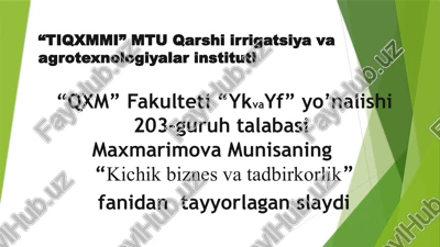 kichik biznes va tadbirkorlik — PPTX